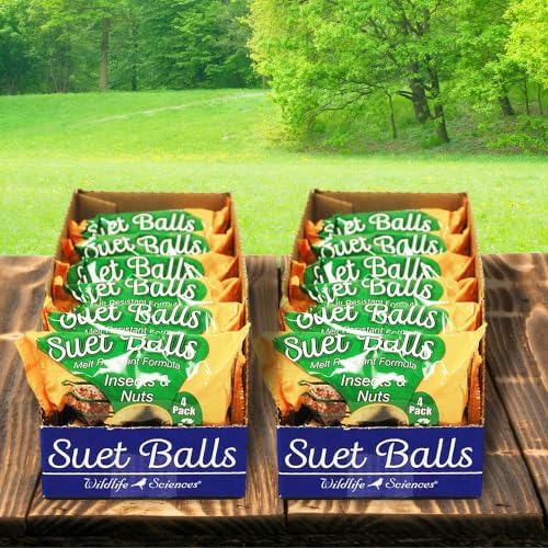 BestNest Wildlife Sciences Insects & Nuts Suet Balls – 48 Count (12 Packs of 4) – High-Energy Bird Food with Mealworms