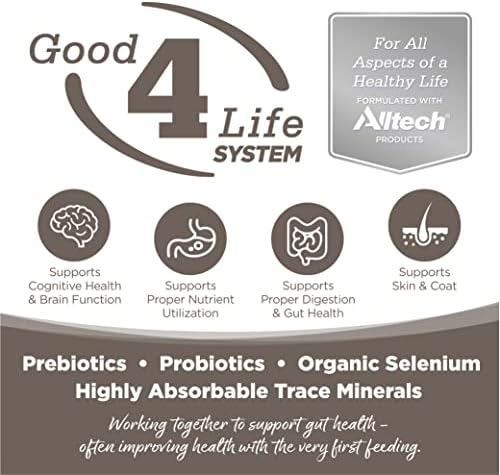 NutriSource Senior Dry Dog Food, Chicken & Rice, 26 lb | Probiotic & Prebiotic Support, Glucosamine & Chondroitin, Grain Inclusive, No Corn Wheat or Soy