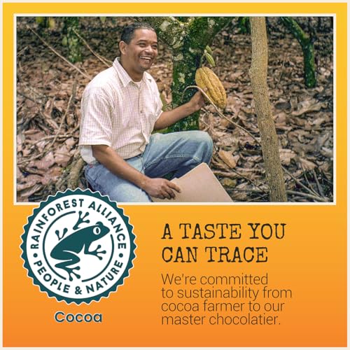 Chocolove Cherry & Almonds Dark Chocolate Bars | 55% Cocoa | Infused with Real Cherries & Crunchy Almonds | Crafted with Premium Chocolate | 3.2 oz Bar (12 Pack)