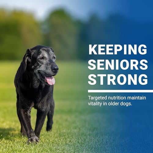 VPS SynovialMax Hip & Joint Soft Chews for Dogs - 240 count | Glucosamine for Dogs with MSM and Vitamin C - Advanced Dog Hip and Joint Supplement - Liver Flavor