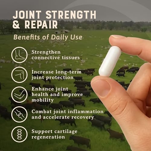 HEART & SOIL Beef Brain Supplement, 180 Capsules
