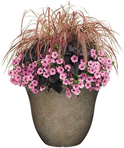 Honeysuckle Resin Planter, Durable Garden Pot, 15" Fossil | Hand-Painted Finish Plant Pots, Lightweight Indoor Outdoor Planter, UV-Resistant, Great for Patio, Home & Garden Decor Accent
