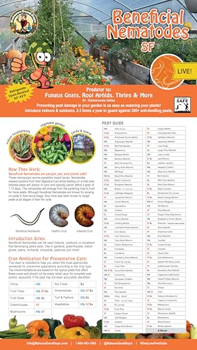 NaturesGoodGuys Beneficial Nematodes Steinernema feltiae SF - 5 Million