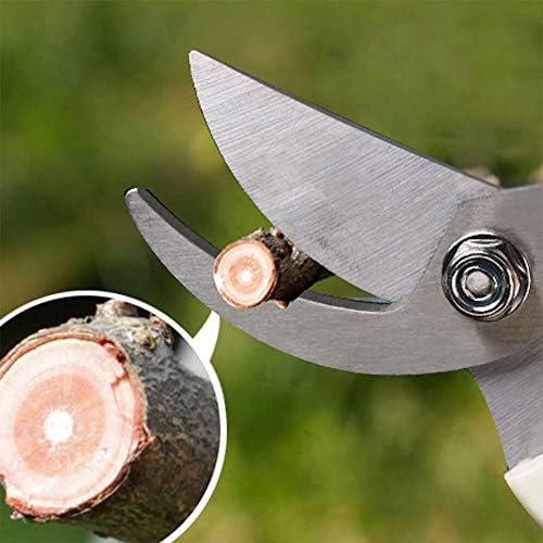 BUGUI Wood Handle Pruning Shears, SK-5 Steel Blade, 1-inch Cutting Capacity, Sharp, Well Designed Garden Shears, 8"