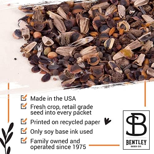 BENTLEY SEED CO. Oh Baby Flower Seeds Packets - Girl/Boy Baby Shower Favors - Pre-Filled