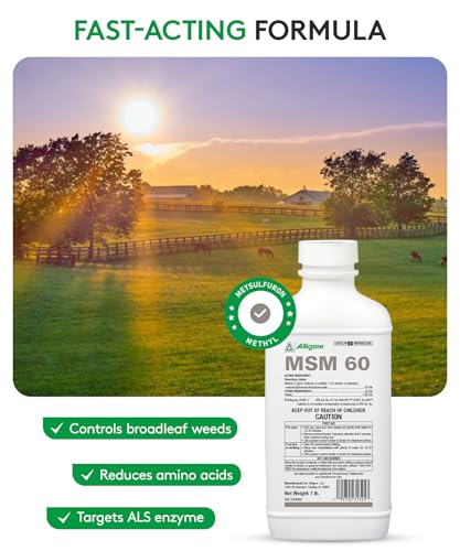 ALLIGARE MSM 60 DF - Selective Broadleaf Brush and Weed Killer for Pastures, Rangelands, Forestry, Roadsides & Industrial Sites - Low Use Rates, Tank-Mix Compatible - 8 oz