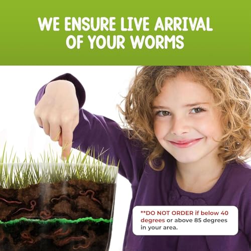 Worm Farm for Kids Kit with 20 Live Composting Worms, All-in-One Bundle | Watch composting in action with this complete kit with live worms included, all-in-one bundled engaging science project