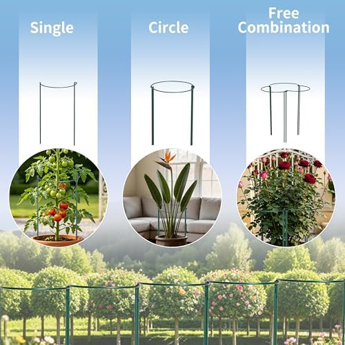 TCBWFY 10 Pack Garden Plant Support Stakes, 10" Widex16 High Heavy Duty Interlinked Half Round Peony Support Ring Cage for Indoor Outdoor Plants