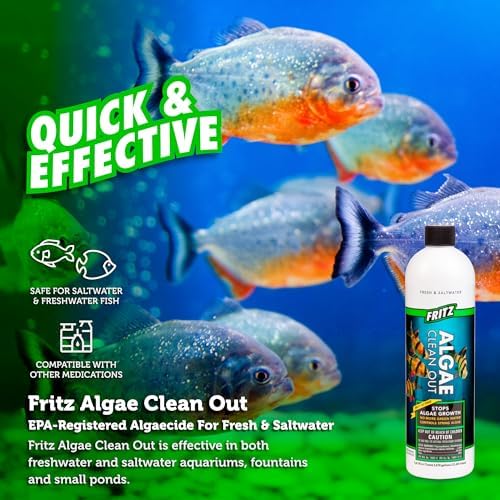 Fritz Aquatics Algae Clean Out - Algaecide for Fresh and Salt Water Aquariums, 16 oz