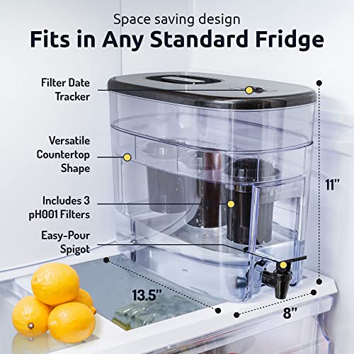 Invigorated Water Alkaline Water Filter Dispenser, 53-Cup Large Capacity