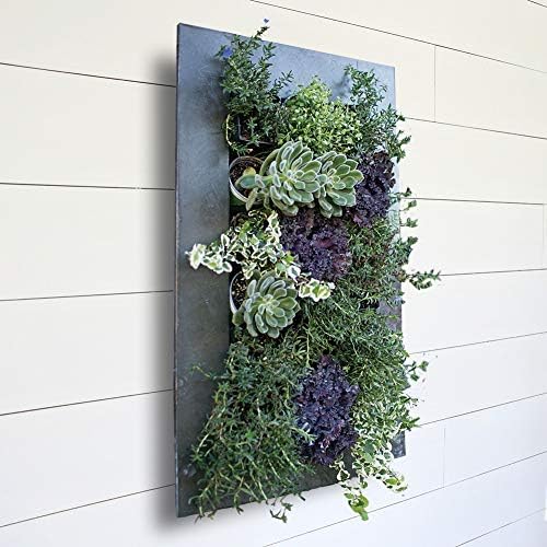 Modern Home Living Wall Galvanized Steel/Zinc Succulent Planter, Wall Mounted Garden Pocket Planter (18 Pocket, Aged Zinc)