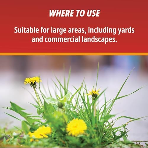 Control Solutions Inc. 82004319 Eraser Weed & Grass Killer Concentrate, 1_Gallon, 128 oz