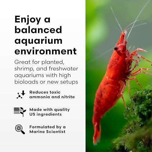 Brightwell Aquatics Shrimp FlorinBacter One Shrimp Tank Starter 500ml