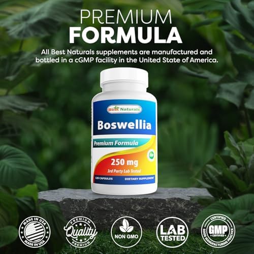 Best Naturals Boswellia Serrata Joint Health 250 mg 120 Capsules - Standardized to 65% Boswellic Acid (120 Count (Pack of 1))