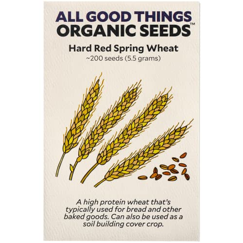 All Good Things Organic Hard Red Spring Wheat Seeds for Planting: 200 Count | Classic Bread-Baking Wheat, High-Protein Hard Red Kernels, Homestead Grain Plot Staple, Doubles as Cover Crop, Non-GMO