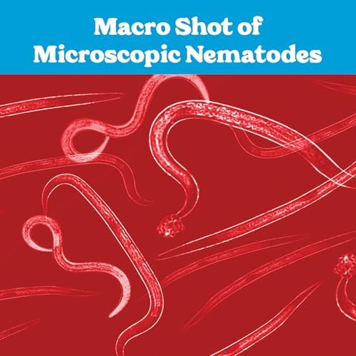 Live Beneficial Nematodes - 15 Million Hb+Sc+Sf - Kills Over 200 Different Species of Soil Dwelling and Wood Boring Insects.