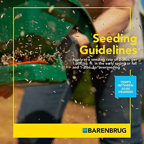Barenbrug Turf Blue Pro Kentucky Bluegrass Lawn Seed with Yellow Jacket Seed Coating, All-Season Durable Grass Mix for Lawns, 25-lb. Bag