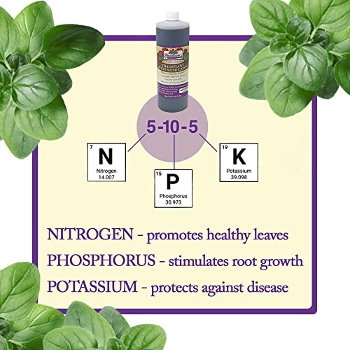 Esbenshade’s Transplant Root Stimulator 5-10-5 Fertilizer, 32oz - Liquid Fertilizer with Seaweed, Fish & Humic Acid - Reduces Transplant Shock