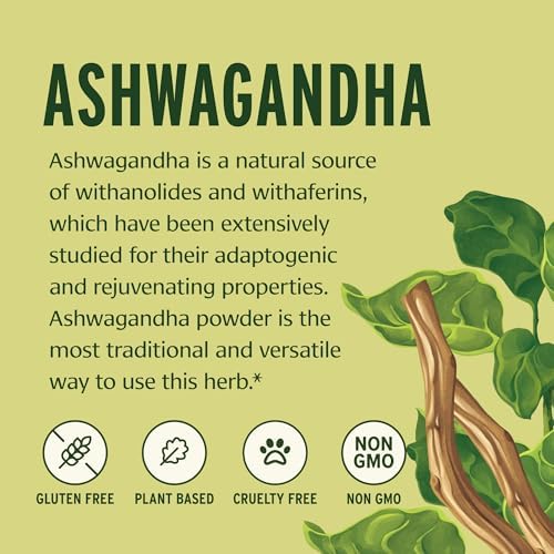 Banyan Botanicals Ashwagandha Powder – Organic Ashwagandha Root – Renowned Herbal Adaptogen for Natural Energy Support and Stress Support* – 1/2lb – Non-GMO Sustainably Sourced Vegan