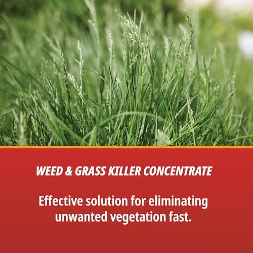 Control Solutions Inc. 82004319 Eraser Weed & Grass Killer Concentrate, 1_Gallon, 128 oz