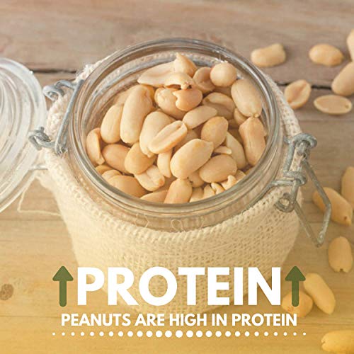 Peanuts Dry Roasted Unsalted, Blanched, 5 Pound Bulk Bag - We Got Nuts,