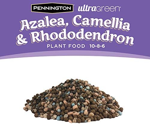 Pennington 100525940 UltraGreen Azalea, Camellia & Rhododendron 10-8-6 Plant Food, 5 lb