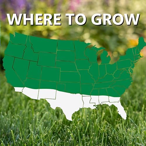 Jonathan Green (11460) Contractor's Grass Seed - Cool Season Lawn Seed (50 lb)