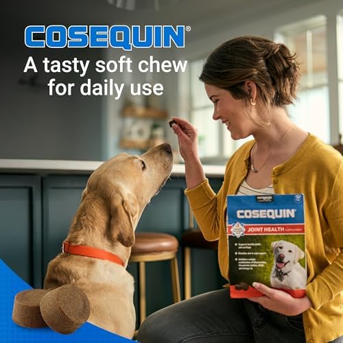 Nutramax Cosequin Joint Supplement for Dogs, Skin & Coat, Soft Chews, 120ct | Glucosamine & Chondroitin for Dogs with MSM, Omega-3s, Supports Joints
