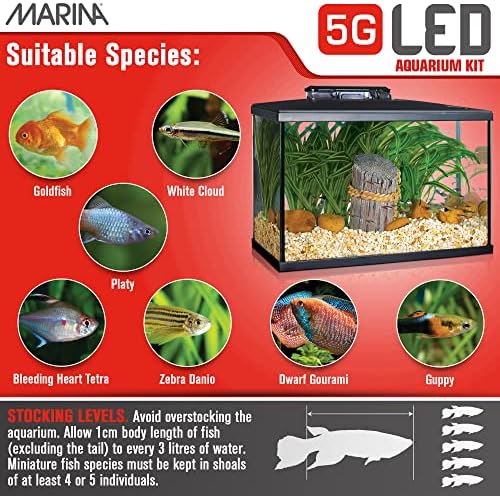 Marina 5 Gallon (19 L) LED Aquarium Kit | Ideal for Beginner Aquarists and New Fish-Keepers