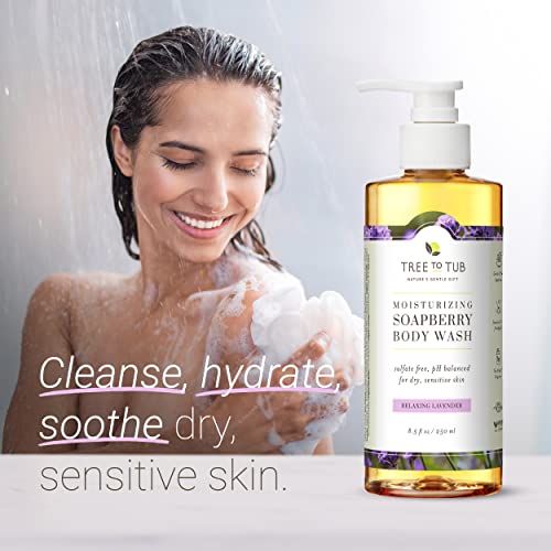 Tree To Tub Soapberry Body Wash for Dry, Sensitive Skin, pH 5.5, 8.5 Fl Oz | Sulfate & Paraben-Free, Rich Lather, Fragrance-Free, Shea Butter & Aloe Vera, Vegan & Cruelty-Free, Gentle for Daily Use