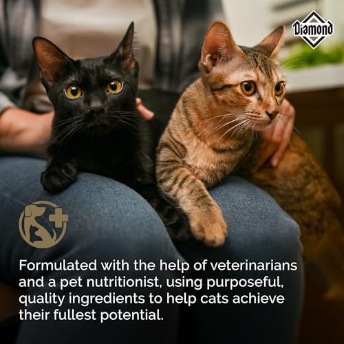 Diamond Maintenance Adult Dry Cat Food, Chicken Protein, 20lb | For Moderately Active Cats | Omega Fatty Acids to Help Support Skin & Coat Health | Taurine for Heart & Eye Health