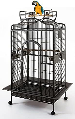 2 Color, Extra Large Wrought Iron Dome Top for Macaw Goffin's Cockatoo Cockatiels African Grey Amazon Parrots Green Cheek Conures Caique Bird Cage with Rolling Stand