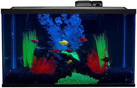 GloFish Crescent aquarium Kit 3 Gallons, Includes Hidden Blue LED Light And Internal Filter