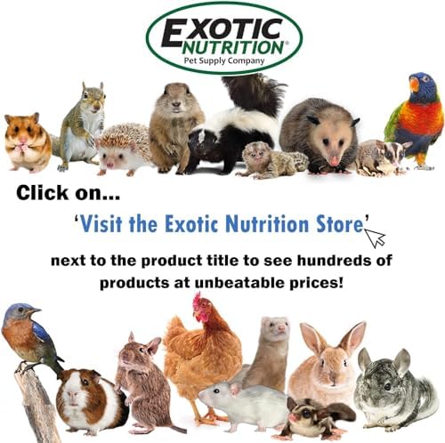 Exotic Nutrition Premium Nut Mix - Unroasted, Unsalted Walnuts, Hazelnuts, Almonds - Food & Treat for Squirrels, Parrots & Other Small Pets (5 lb.)