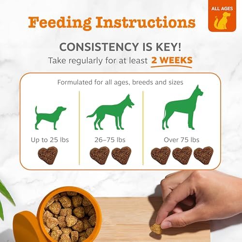 Zesty Paws Chew No Poo Bites for Dogs - Coprophagia Relief - Stool Eating Deterrent Soft Chews for Dogs - Gut