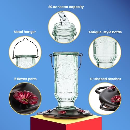 More Birds Vintage Glass Hummingbird Feeder, 20 oz Nectar Capacity | 5 Red Flower-Shaped Feeding Ports, Antique Aqua-Tinted Design