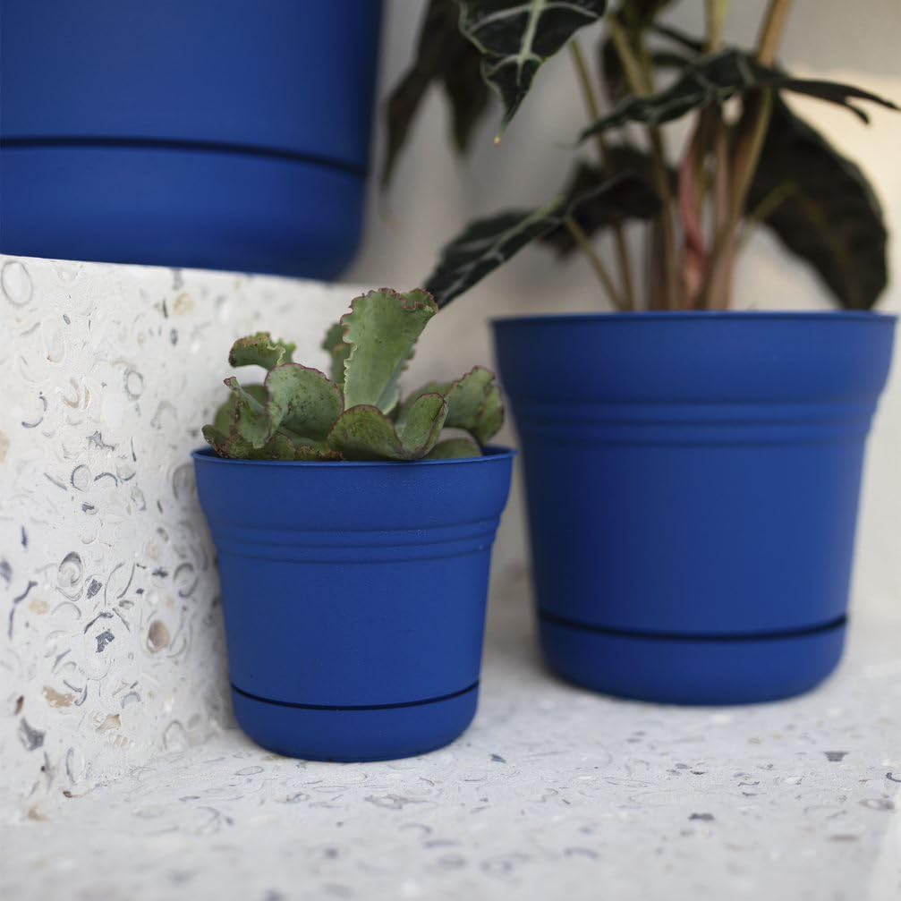 Bloem Saturn Planter with Saucer, 10", Calypso (SP1027)