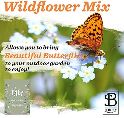 BENTLEY SEED CO. Oh Baby Flower Seeds Packets - Girl/Boy Baby Shower Favors - Pre-Filled