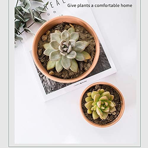 Briful 4 Shallow Terracotta Pots 5.5"x2.8" Flower Pots Clay Pottery Planter with Drainage Hole - Great for Cactus, Succulent Plants and Crafts