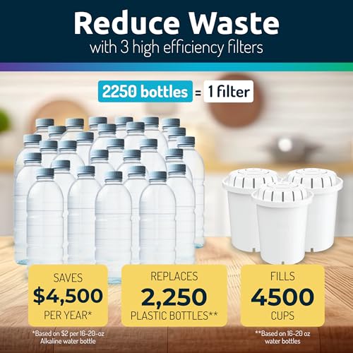 Invigorated Water Alkaline Water Filter Dispenser, 53-Cup Large Capacity