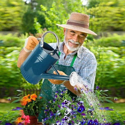 1 Gallon Metal Watering Can with Removable Spout, Nice Galvanized Steel Water Can with Embossed Design for Indoor and Outdoor Plants