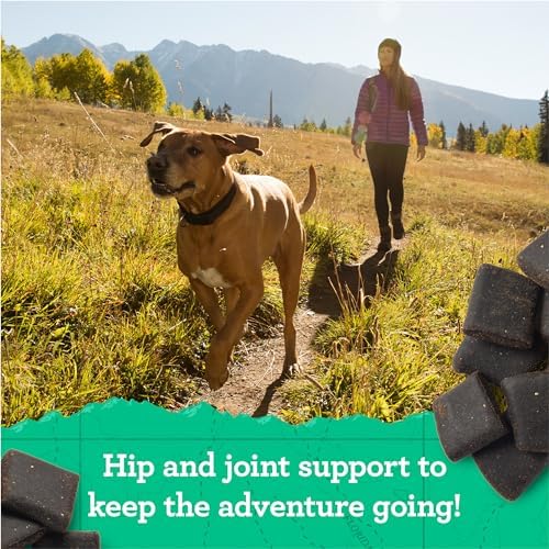 Merrick Backcountry Grain Free Dry Adult Dog Food, Kibble With Freeze Dried Raw Pieces, Hero’s Banquet Recipe - 4.0 lb. Bag