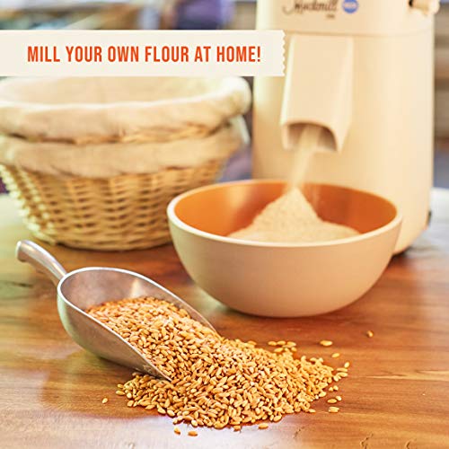 100% Organic Hard Red Spring Wheat Berries- 25 lbs