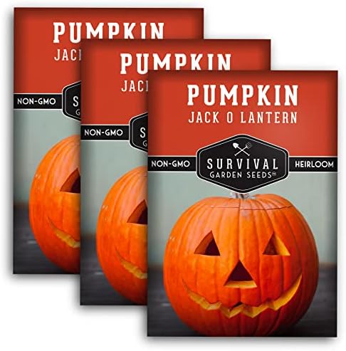 Jack O' Lantern Pumpkin Seeds for Planting - 1 Pack