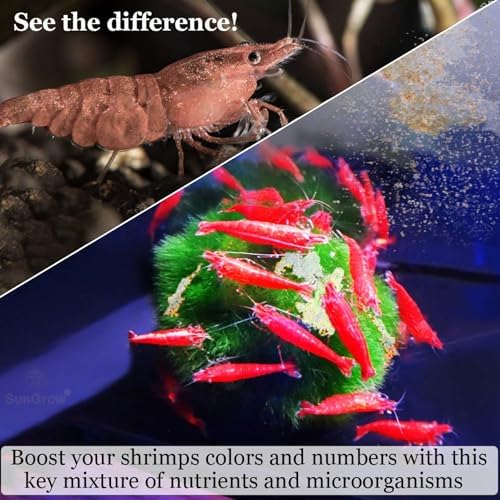 SunGrow Shrimp Rocks, Calcium, Magnesium Rocks for Crayfish, Hermit Crab, Snails, Crustacean Care, Aquarium Decor for Crystal Red, Amano and Ghost Shrimps, Nano Tank Accessories, Fish Tank Supplies