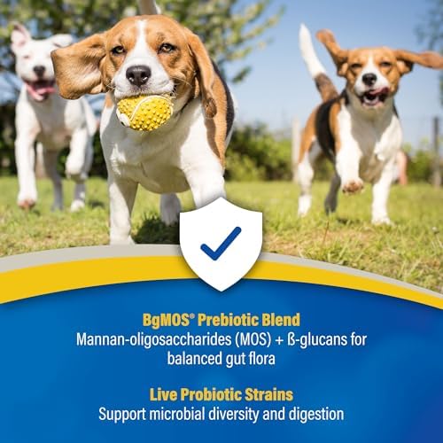 Doc Roys GI Synbiotics for Dogs and Cats, Prebiotic and Probiotic Granules, Digestive and Immune Support, Chicken Flavored, Made in USA, 454 gm