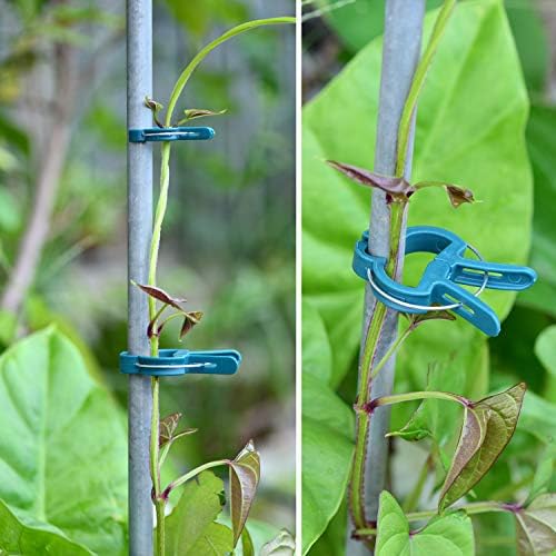 PERSZEN 60PCS Plant Clips 2 Sizes Adjusting Reusable Garden Plant Supports Clips for Supporting Stems of Flower Vine Vegetables Tomatoes Climbing
