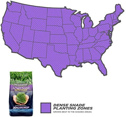 Pennington Smart Seed Dense Shade Grass Seed, 3 lb (100086851)