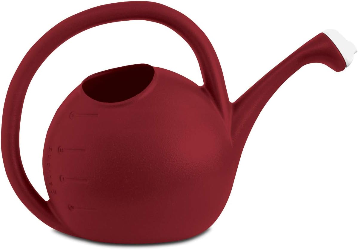 2-Gallon Premium Plastic Rosette Watering Can - The HC Companies 11"x21"x13.75" in Evergreen Color