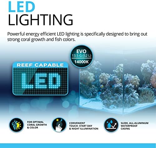 Fluval Evo XII Saltwater Aquarium Kit, 13.5 Gal. | Saltwater Fish Tank with Reef-Capable LED